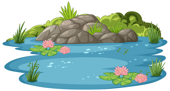 Tranquil water scene with rocks and water lilies.