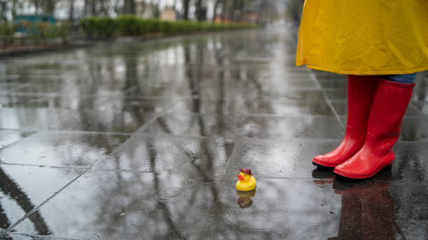 istock rubber boots is standing in a puddle and playing with yellow rubber ducks 2105988334