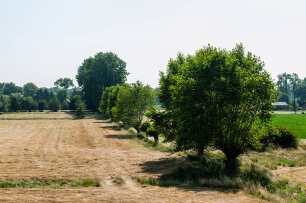 Impression of the rural countryside near Geraardsbergen in the flamish Ardennes. East-Flanders, Belgium.