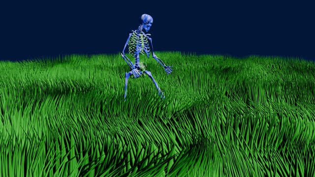 Skeleton playing guitar - grass .