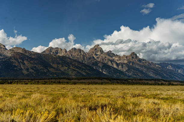 Photos from my time in Jackson Hole & Grand Tetons National Park.