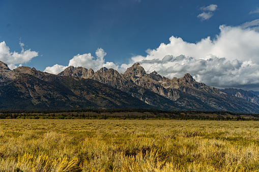 Photos from my time in Jackson Hole & Grand Tetons National Park.