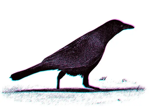 Vector illustration of Crow Bird Walking with Glitch Technique