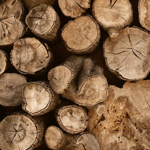 istock Stacked Wood Logs Texture, Top View Of Cut Timber 2106058667