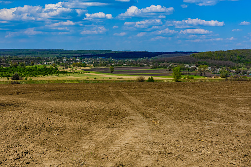 Plowed agricultural field at summer. Rural landscape in Ukraine