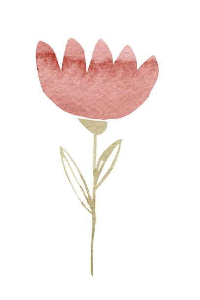 Simple abstract hand drawn red flower. Spring botanical flat watercolor illustration. Perfect for patterns, stickers, invitations, posters, greeting cards. Folk flowers mid century style