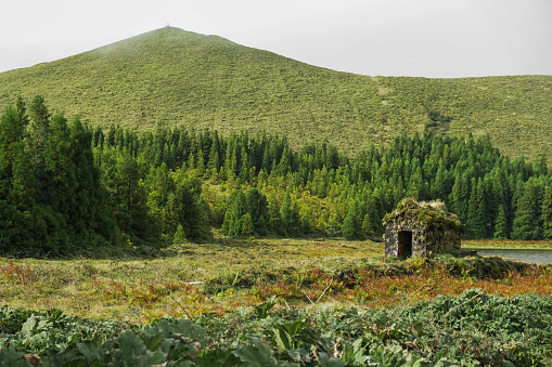 Full frame shot of mountain landscape with pine tree forest below, and a little stone house in the corner.  The nature view in Sete cidades, azores island ( hawaii of europe )