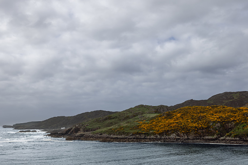 Overcast skies loom above Scourie Bay, where a rugged coastline is adorned with bright yellow gorse. Scotland