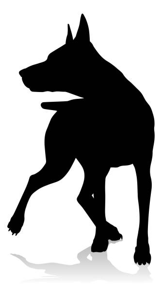 Dog Silhouette Pet Animal A detailed animal silhouette of a pet dog drawing of the doberman pinscher dogs stock illustrations