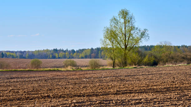 istock spring arable land, plowed field prepared for planting cereals,vegetables 2106157867