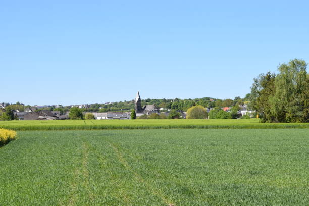 istock view from the swamp to a village 2106188004
