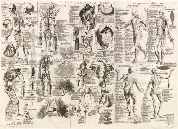 You're looking at a very scarce, 270 year old, steel plate engraving from the original 
