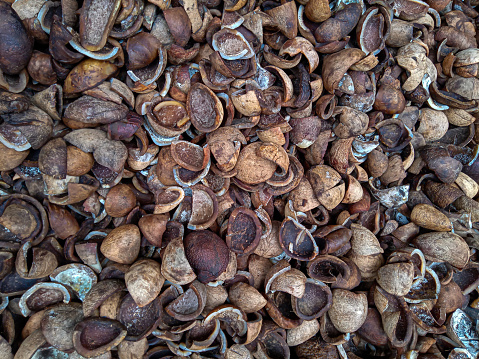 photo of a collection of dried copra in the factory warehouse. selective focus