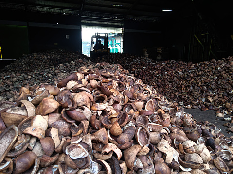 photo of piles of coconut copra in the factory warehouse. selective focus