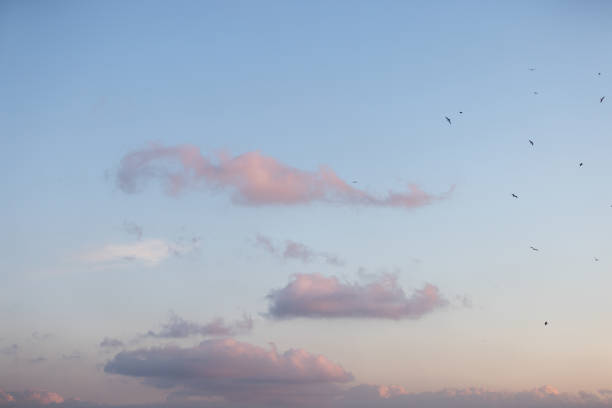 Sunset clouds on beautiful blue sky.Location : Istanbul - Turkey.March - 2024