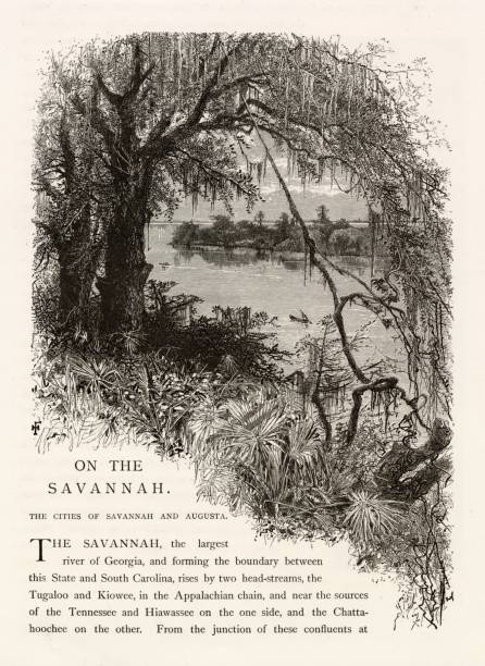 istock GEORGIA - On the Savannah River - Picturesque Engraving 1874 2106309571
