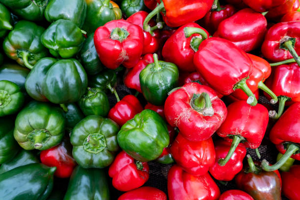 red green bell pepper vegetable background, sweet capsicum group top view - green bell pepper bell pepper red bell pepper groceries - fotografias e filmes do acervo