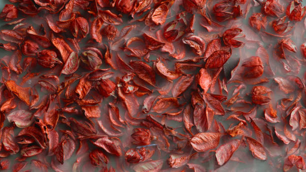 istock Milky smoke peeking through dried orange petals 2106362075