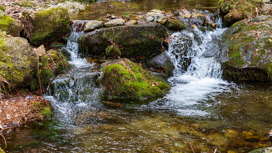 A small waterfall on a river with green grass and stones.
