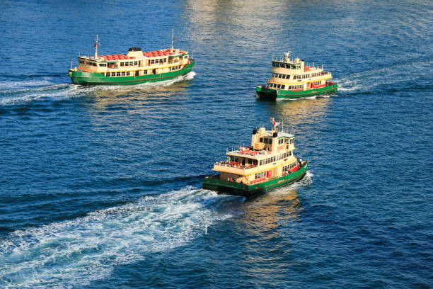 Commercial tour boats travelling between north shore Sydney and terminals at Circular Quay.