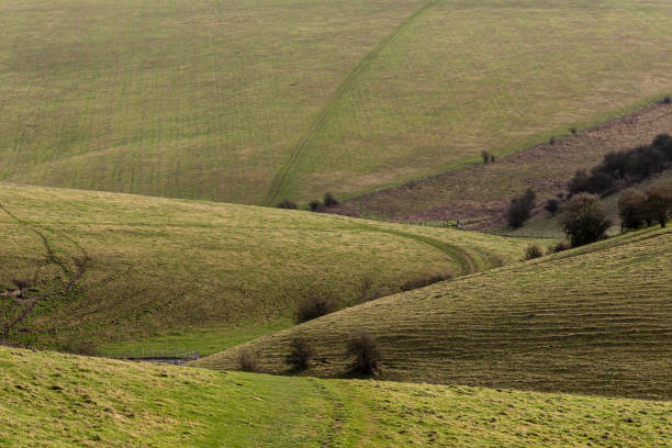 istock A full frame photograph of a rolling South Downs landscape 2106384636