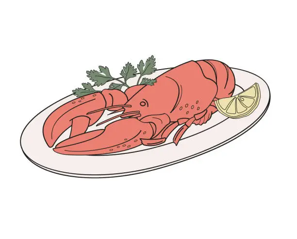 Vector illustration of boiled red lobster on a plate with parsley and lemon