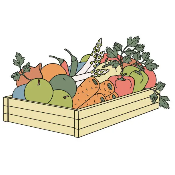 Vector illustration of wooden boxes with fresh vegetables color vector illustration