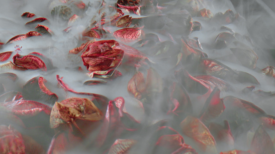 Smoke enveloping dry pink petals