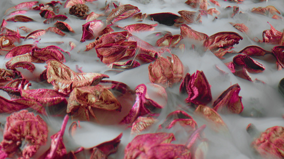 Herbarium of dry pink plants in thick smoke