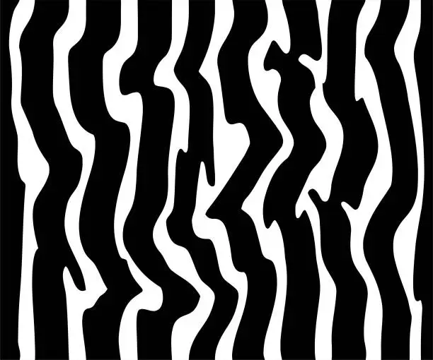 Vector illustration of seamless  black and white  zebrine  pattern