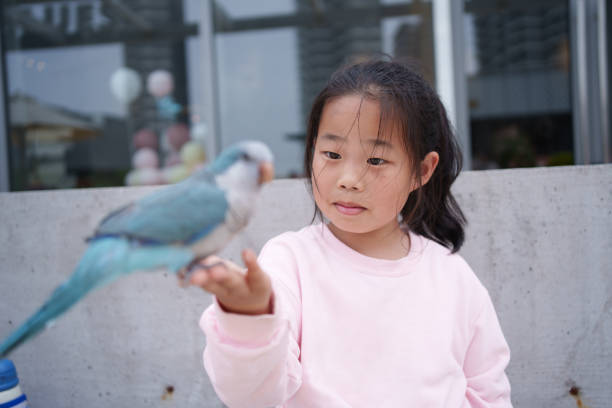 istock little girl looking at parrot 2106490362
