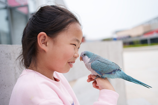 Parrot standing on little girl's hand