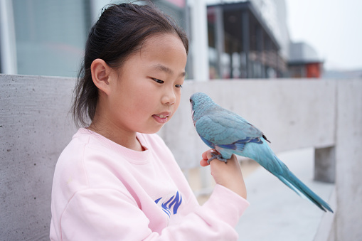 Parrot standing on little girl's hand