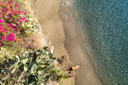 Aerial view past cacti and bougainvillea flowers on cliff to woman on remote beach