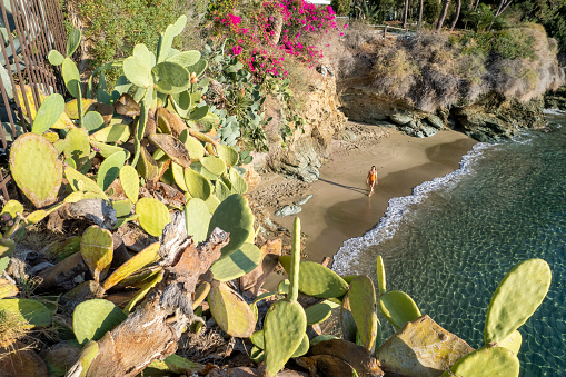 Aerial view past cacti and bougainvillea flowers on cliff to woman on remote beach