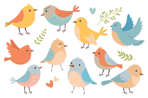 vibrant, cheerful set of spring birds in various poses, leaves. Cartoon illustration in childish style, birds in different poses. Modern trendy happy character. Images isolated on white. Vector illustration