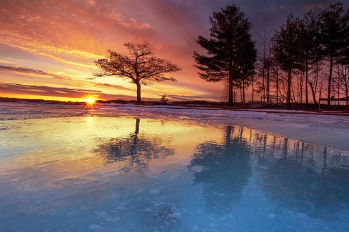 Detroit Point, Higgins Lake, Michigan.  Spring  Sunrise. A lone tree stands silhouetted against a vibrant sunset, with hues of pink, orange, and purple lighting up the sky. The reflections on the ice-covered lake add a serene and almost symmetrical visual effect to the scene.