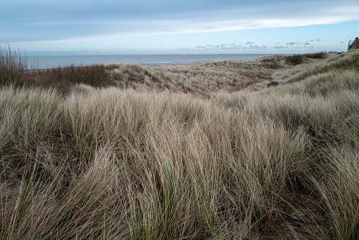 View of a sandy beach and sea from the top of a grass covered dune. extended depth of field