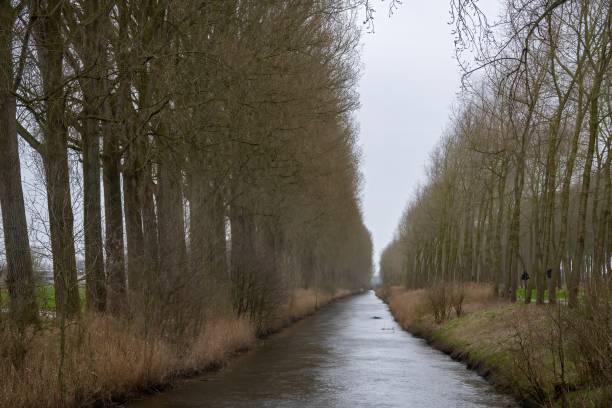 Landscape in Zeeland Netherlands