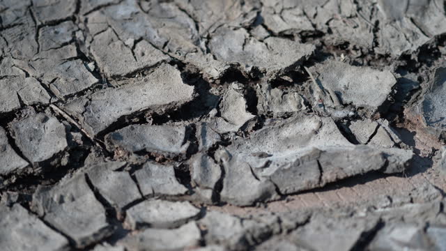Cracked soil caused by global warming