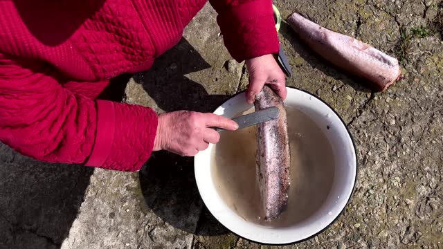 old woman's hands cleaning a frozen fish carcass