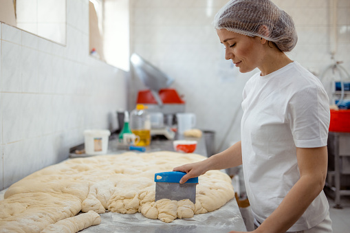Young adult female working on kitchen in bakery patisserie. Food, business, bakery and work concept
