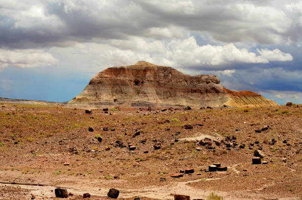istock Alien Landscape Petrified Forest National Park Arizona 2106708024