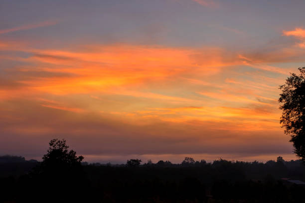 istock Silhouette of Dramatic sky during sunset over forest 2106764072