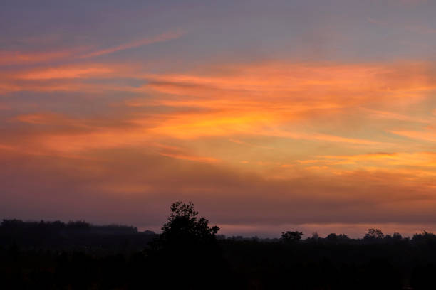 Silhouette of Dramatic sky during sunset over forest