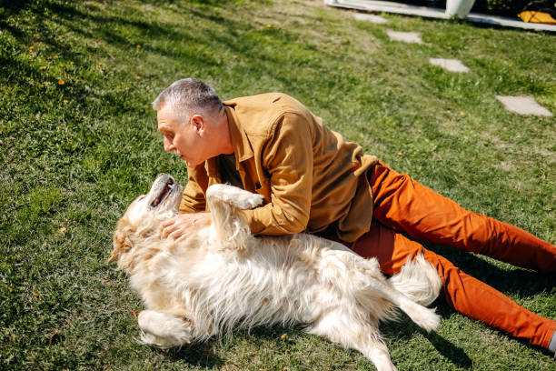 istock Man playing with his dog in back yard lying on grass 2106784315