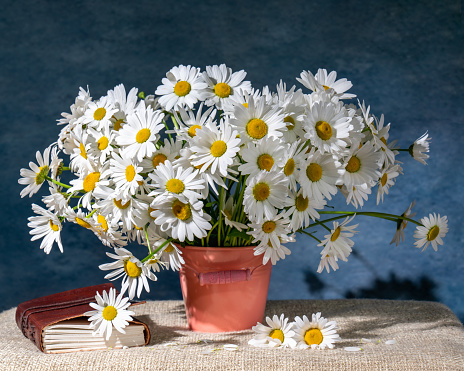 A large bouquet of daisies, next to a leather-bound book. Lots of whites. Joyful still life