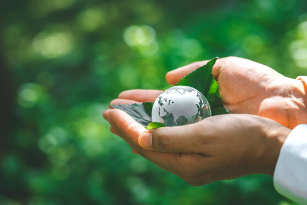 istock Environment Earth Day ESG concept, hands holding earth protect nature environmentally sustainable Save Earth. the Environment World Earth Day concept 2106808299