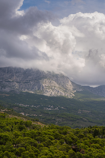 Mountain landscape. A huge white cloud descended over the high cliffs. Dense forest at the foot of the mountain