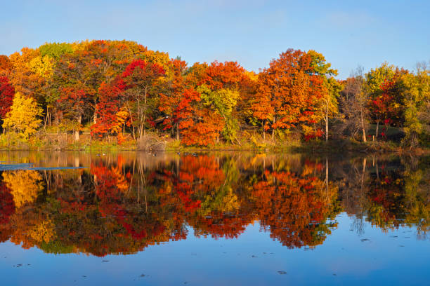 istock Marthaler Pond Vibrant Autumn Foliage 2106825856